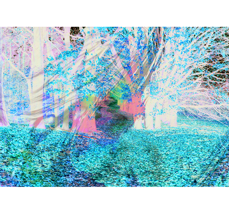 Fototapete Wald herbstweg - TenStickers