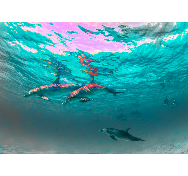 Tapete Wohnzimmer Delfine im Meer - TenStickers