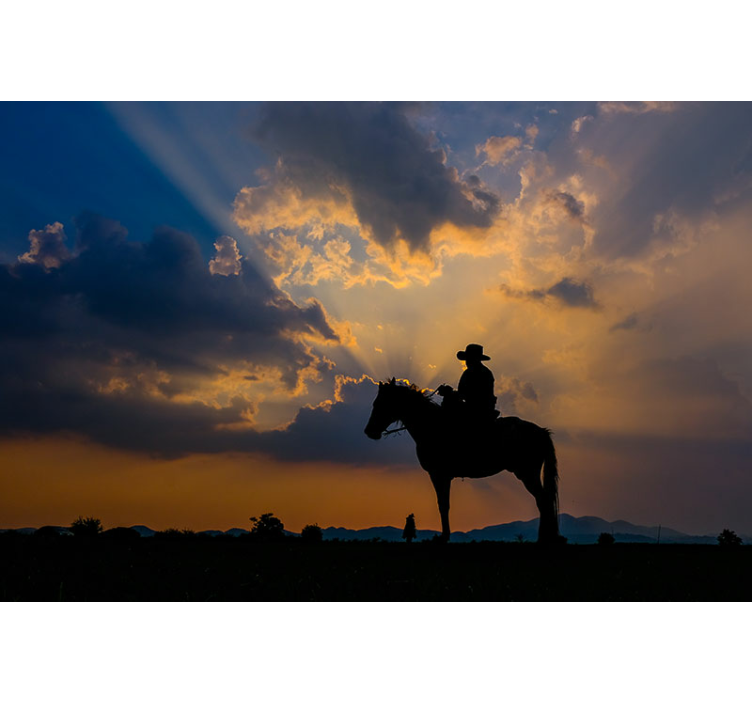Fototapete tiere reiter auf dem pferd - TenStickers
