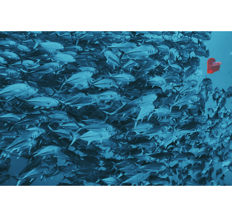 Fototapete tiere unterwasser fischschule - TenStickers