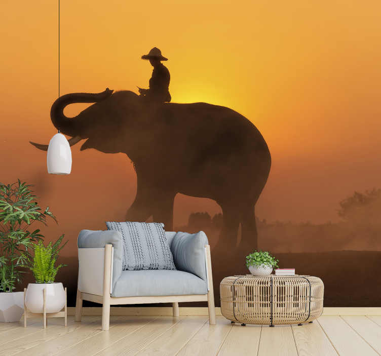 Asiatischer elefant im sonnenuntergang Fototapete - TenStickers