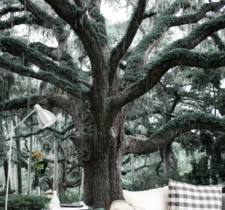 Fototapete Baum majestätische eichenzweige - TenStickers