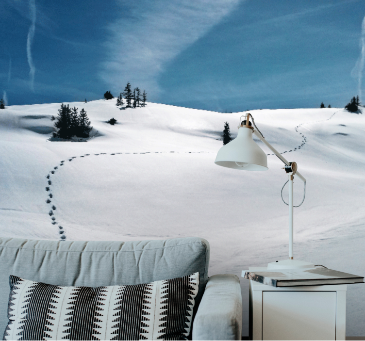 Fototapete berge schneepfad im gebirge - TenStickers