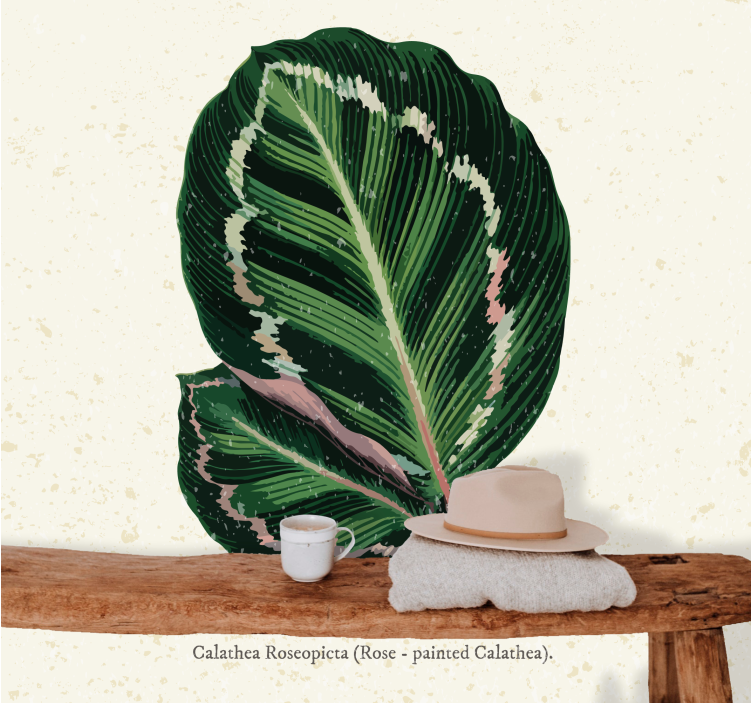 Fototapete blumen calathea blatt dekor - TenStickers