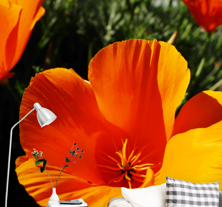 Fototapete blumen nahaufnahme einer orange blume - TenStickers