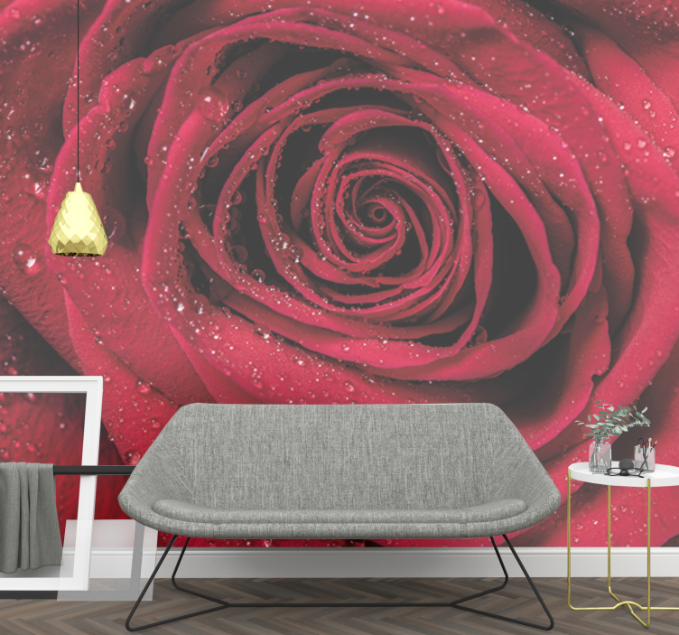 Fototapete blumen rose mit wassertropfen - TenStickers