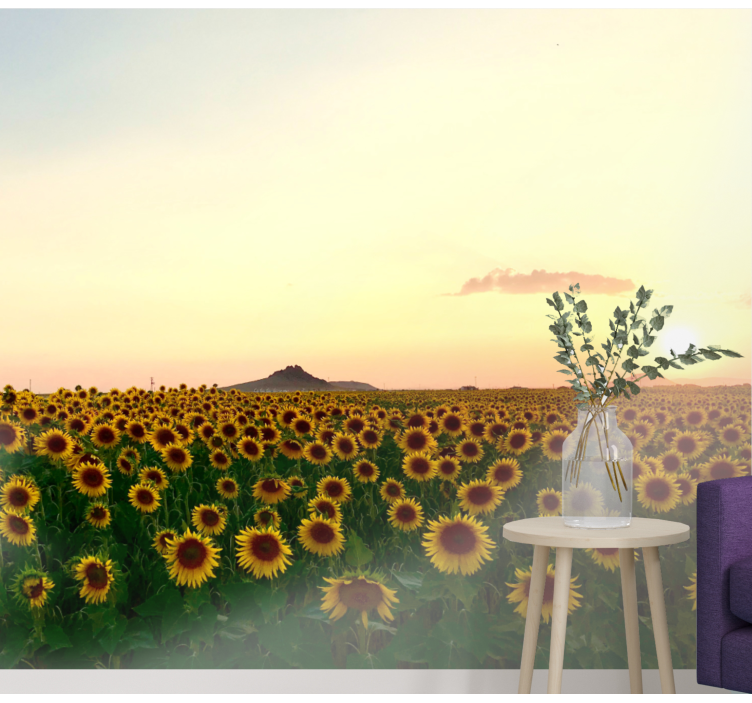 Fototapete blumen sonnenblumenfeld dämmerung - TenStickers