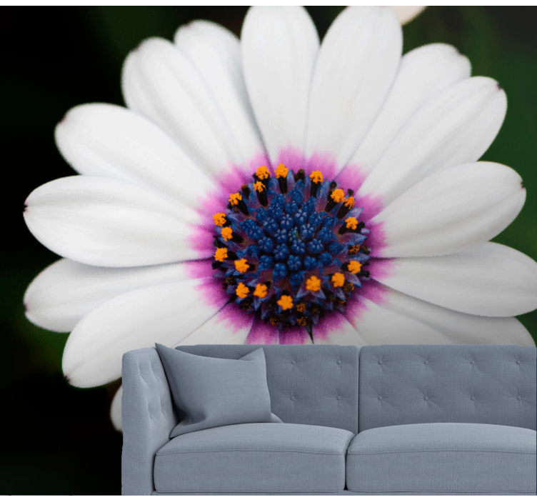 Fototapete blumen weißer blütenzauber - TenStickers