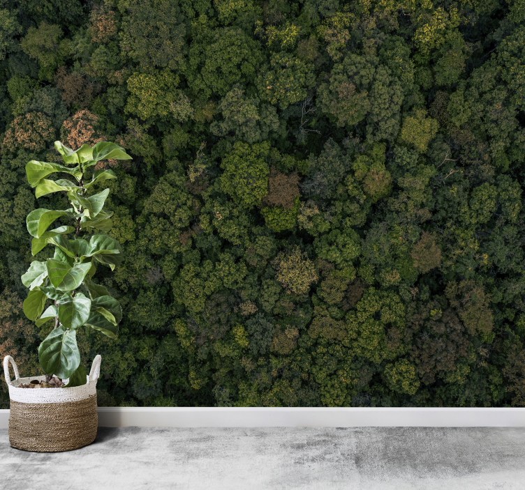 Fototapete Dschungel waldblick aus der luft - TenStickers