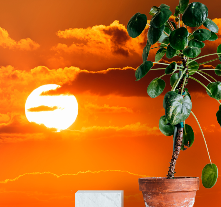 Fototapete himmel sonnenuntergang über wolken - TenStickers