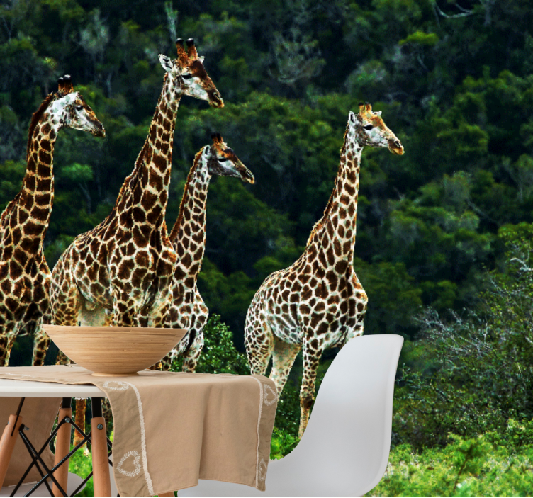 Fototapete afrikanisch Ursprüngliche natur giraffen - TenStickers