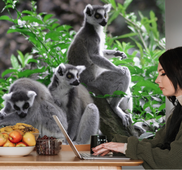 Fototapete afrikanisch Wildtiere lemuren madagaskar - TenStickers