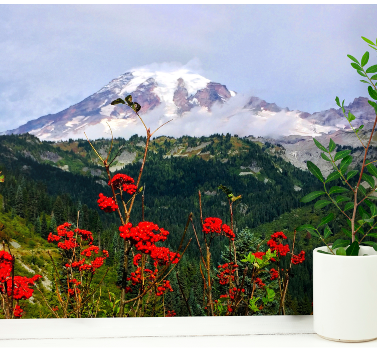 Fototapete landschaft mit schneebedecktem berg - TenStickers