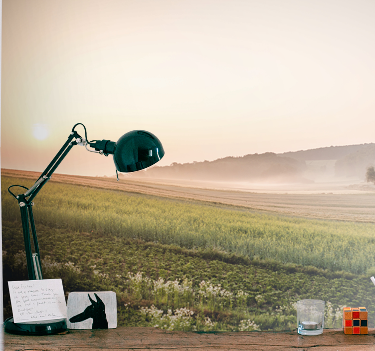 Fototapete landschaft ruhige grüne wiesen - TenStickers