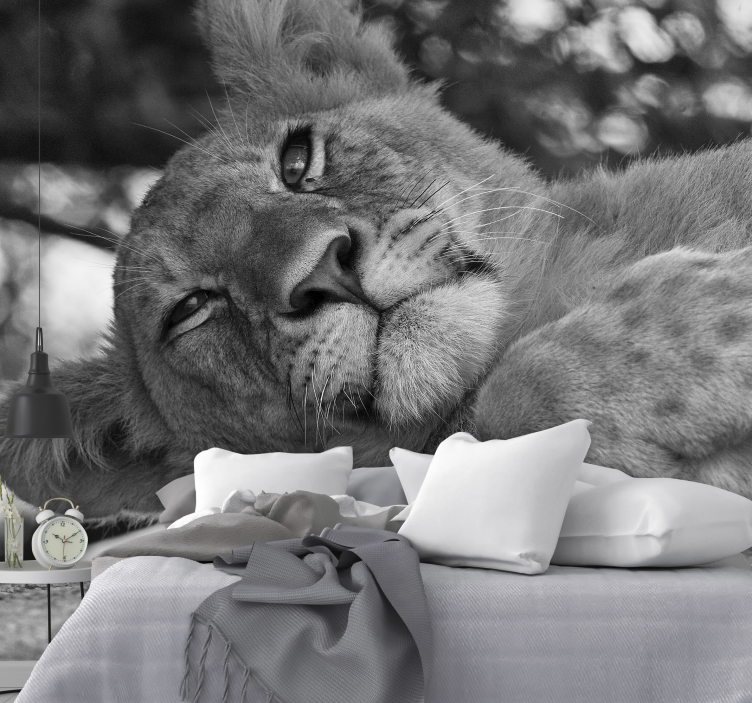 Fototapete löwe majestätischer löwe entspannung - TenStickers