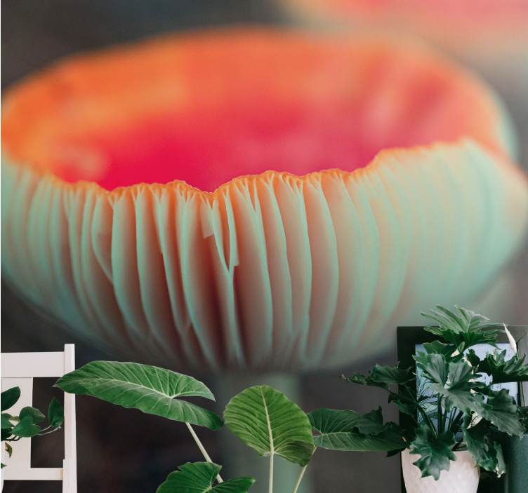 Fototapete mohnblumen elegante poppy blossom - TenStickers