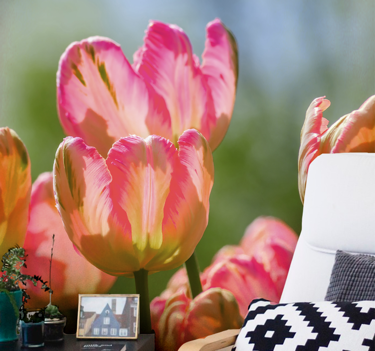 Fototapete Mohnblumen große rosa tulpen - TenStickers