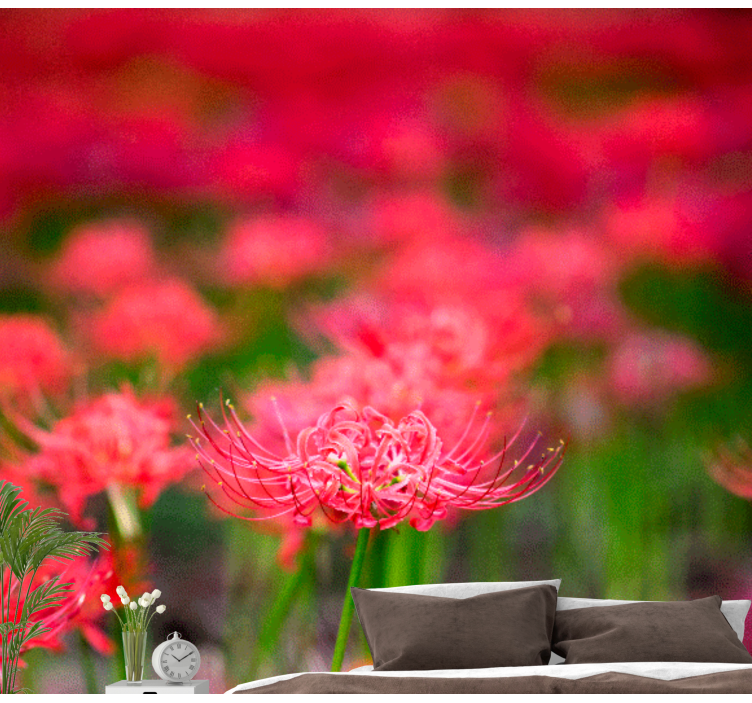 Fototapete mohnblumen lebhafte karminrote blumen - TenStickers