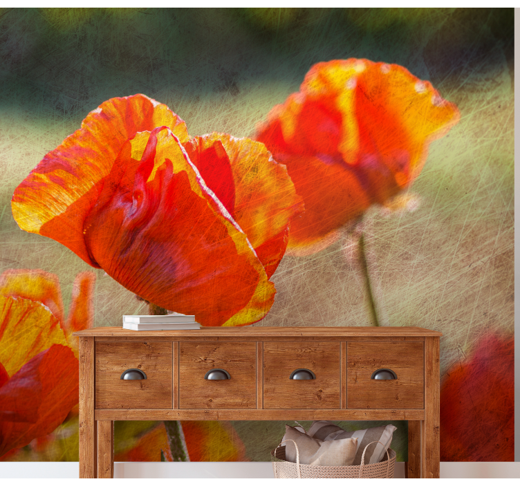 Fototapete mohnblumen strahlende poppy flowers - TenStickers