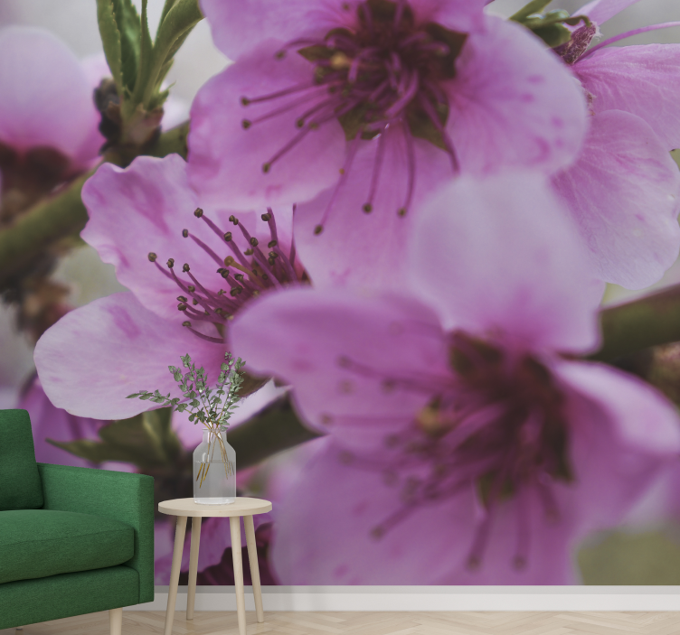 Fototapete mohnblumen strahlende rosa blumen - TenStickers