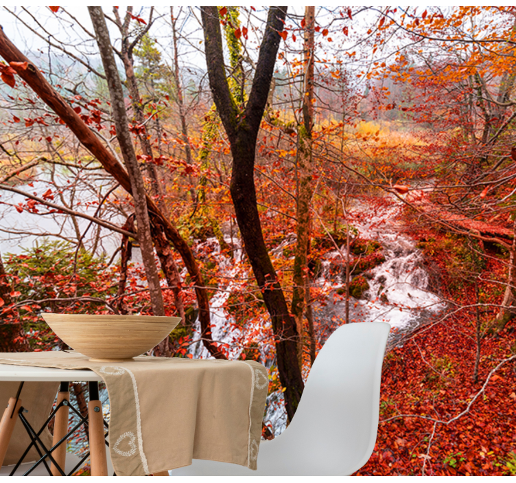 Fototapete Natur herbstliche waldszene - TenStickers
