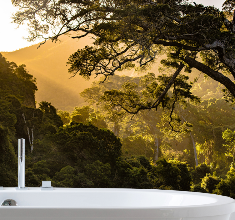 Fototapete natur mit üppiger waldlandschaft - TenStickers