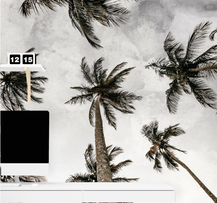 Fototapete natur palmenblätterdach - TenStickers