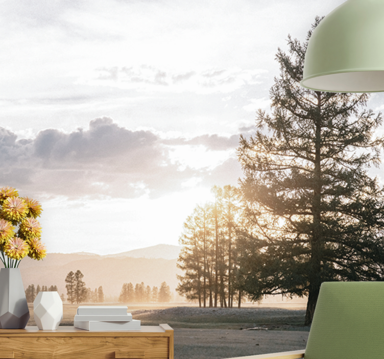 Fototapete natur ruhige kiefernsilhouette - TenStickers