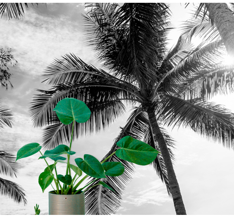 Fototapete Meer tropische palmenszene - TenStickers