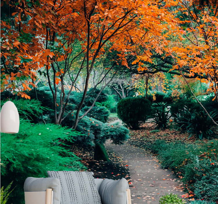 Fototapete natur weg zwischen bäumen - TenStickers