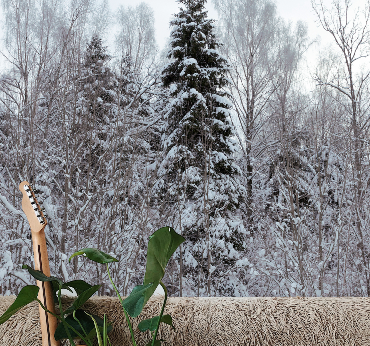 Fototapete Wald winterwaldszene - TenStickers