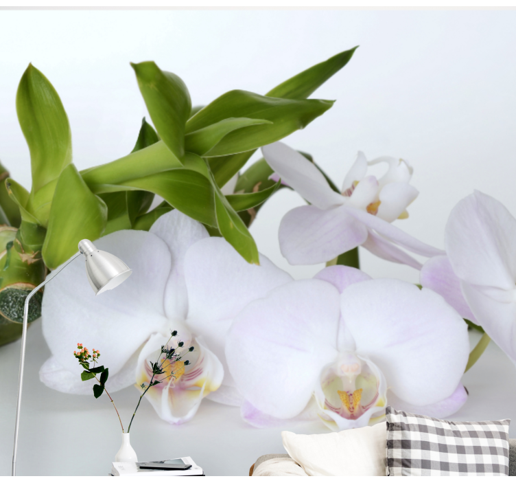 Fototapete orchidee elegantes orchideenarrangement - TenStickers