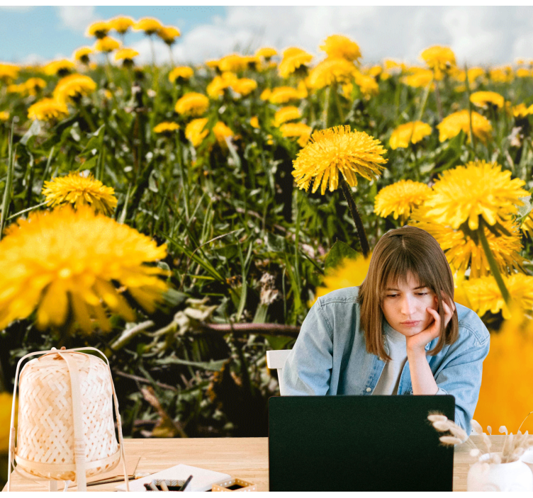 Fototapete pusteblume feldansicht - TenStickers