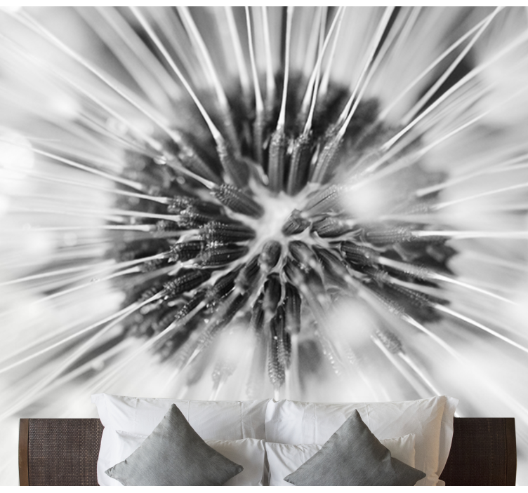 Fototapete Pusteblume löwenzahnsamen platzen - TenStickers