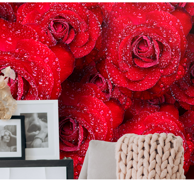 Fototapete Rosen rote blühende Rosen - TenStickers