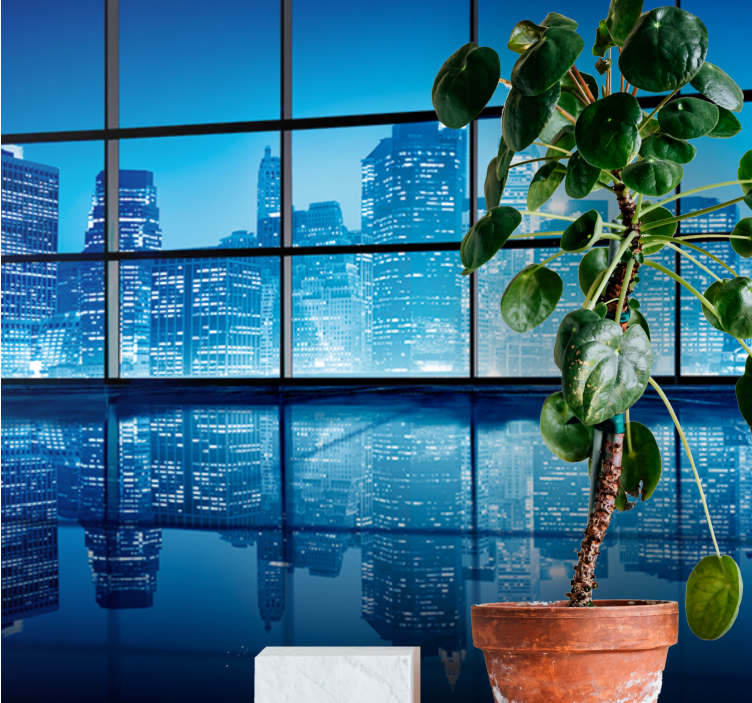 Fototapete städte nächtliche stadtansicht reflexion - TenStickers