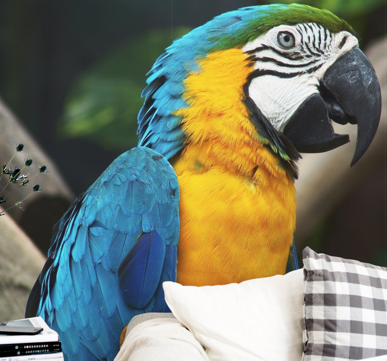Fototapete Tiere ara vogelporträt - TenStickers