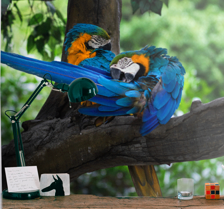 Fototapete tiere buntes paar aras - TenStickers