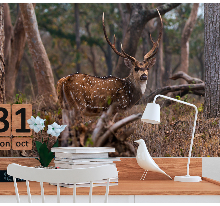 Fototapete tiere elegante gefleckte rehe - TenStickers