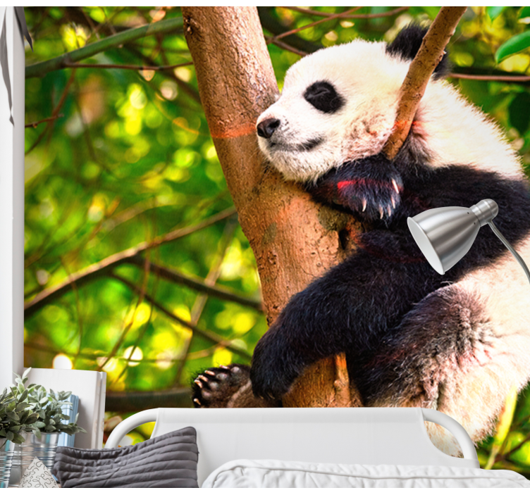 Fototapete Tiere entspannendes pandajunges - TenStickers