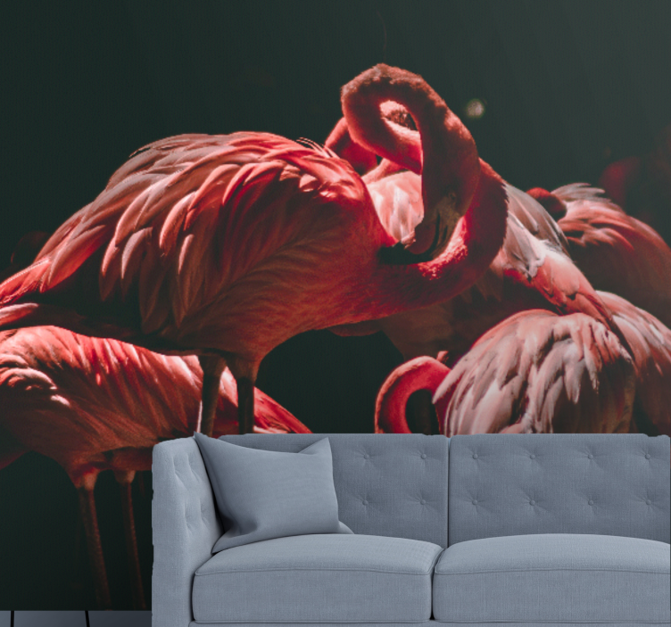 Fototapete tiere flamingo ruhe - TenStickers