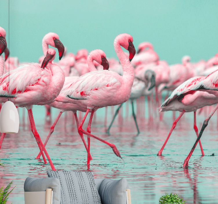 Fototapete tiere flamingo schwarm spaziergang - TenStickers
