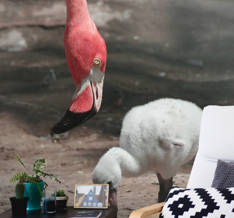 Fototapete tiere flamingoküken - TenStickers