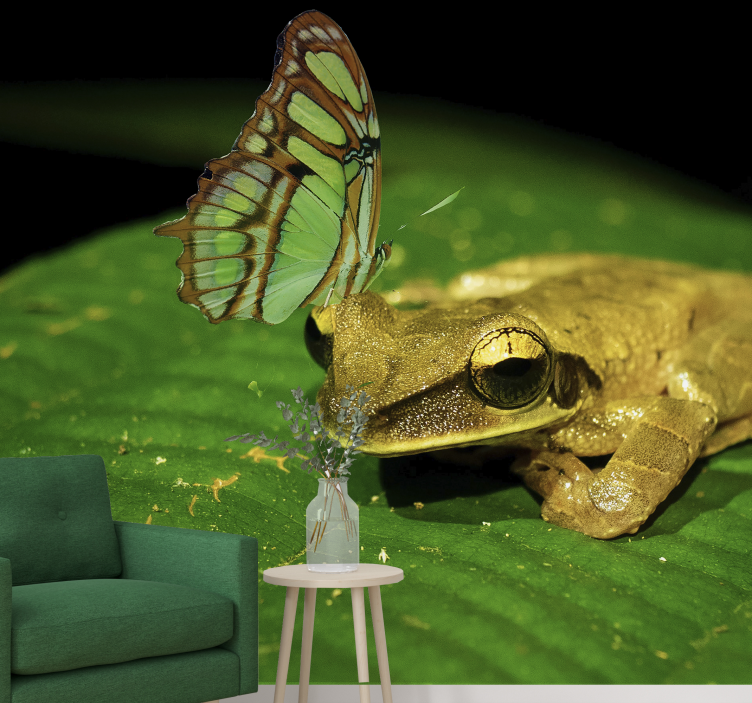 Fototapete Tiere frosch und schmetterling - TenStickers