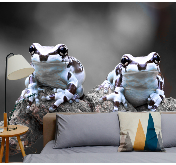 Fototapete Tiere laubfroschpaar - TenStickers