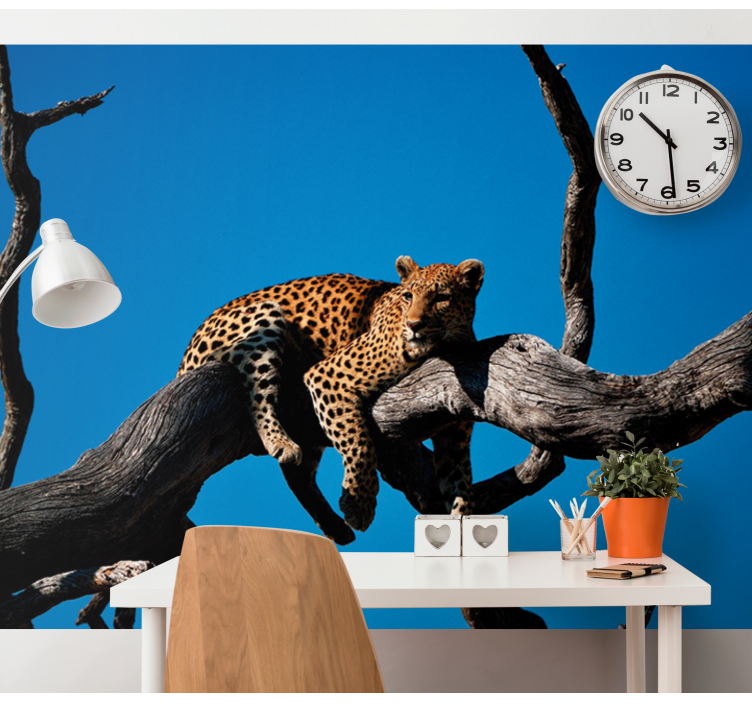 Fototapete Tiere leopard auf ast - TenStickers