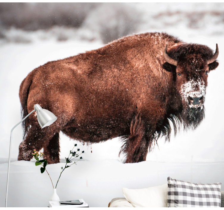 Fototapete tiere majestätische bisonhaltung - TenStickers