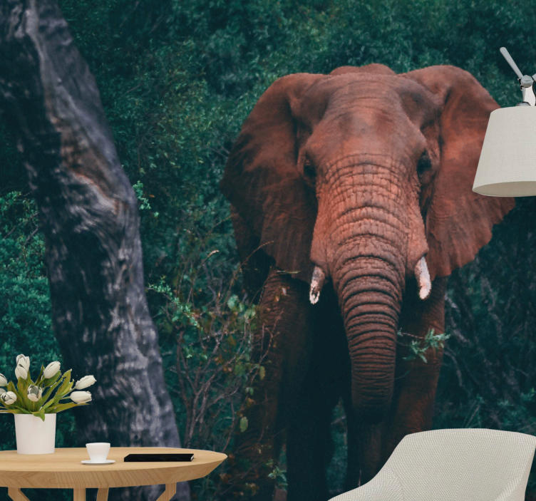 Fototapete tiere majestätische elefantenpräsenz - TenStickers