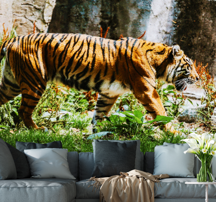 Fototapete tiere majestätischer tiger im gang - TenStickers