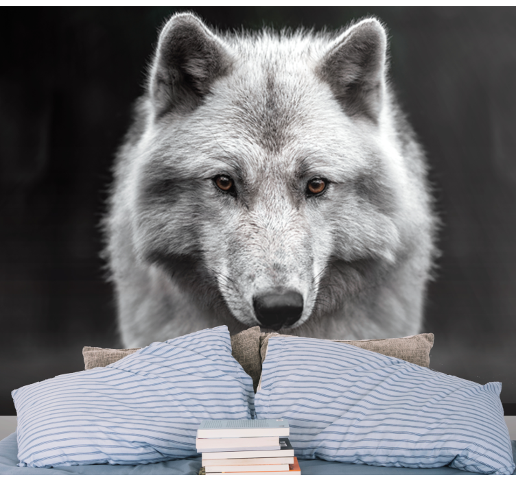 Fototapete Tiere majestätisches wolfsporträt - TenStickers